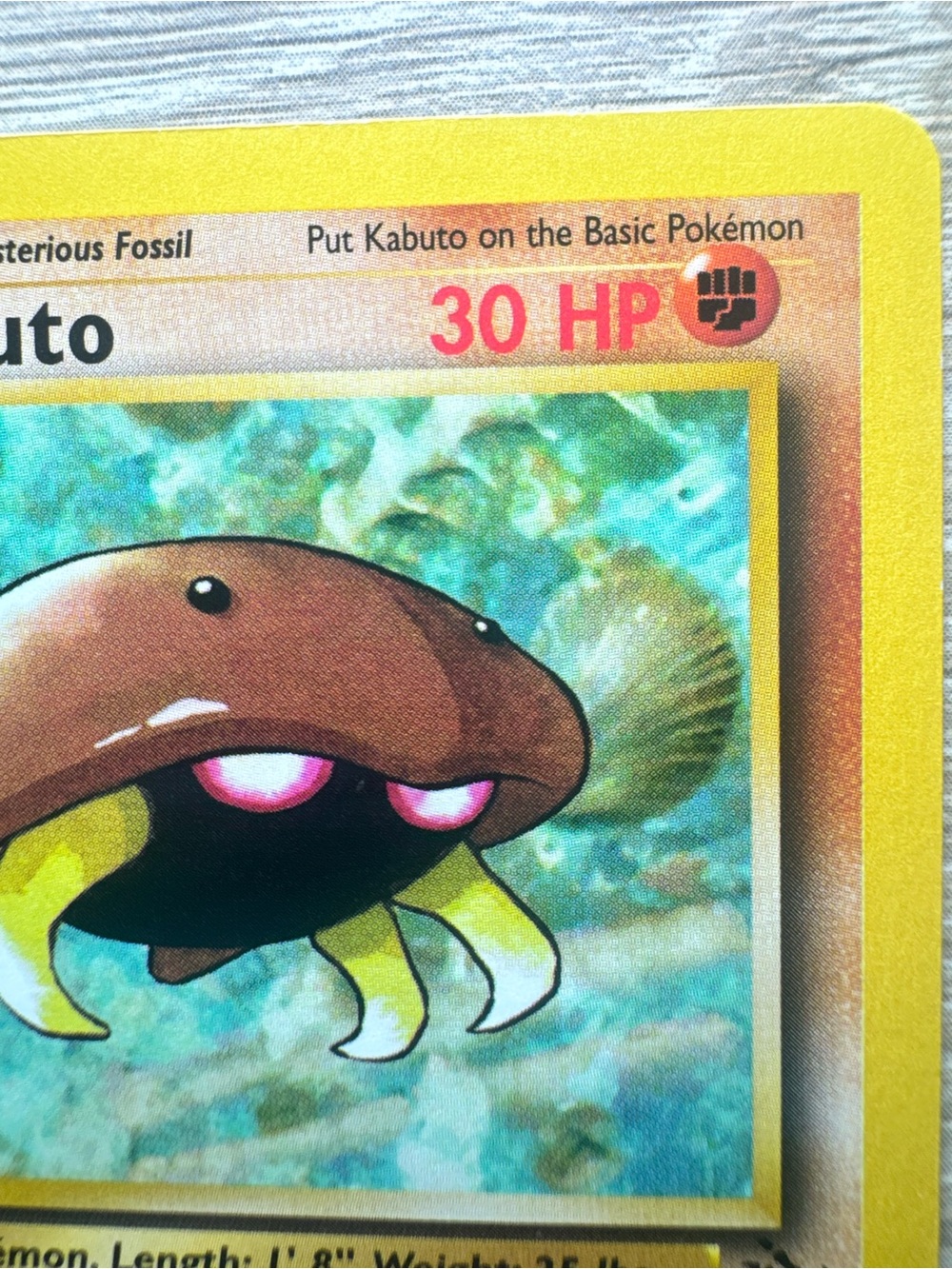 Kabuto #50/62/W Stamp
Pokemon Fossil - Picture 4 of 15